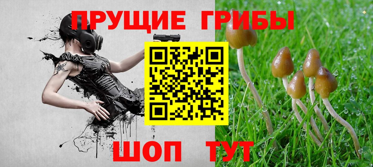 Псилоцибиновые грибы мицелий Алексеевка
